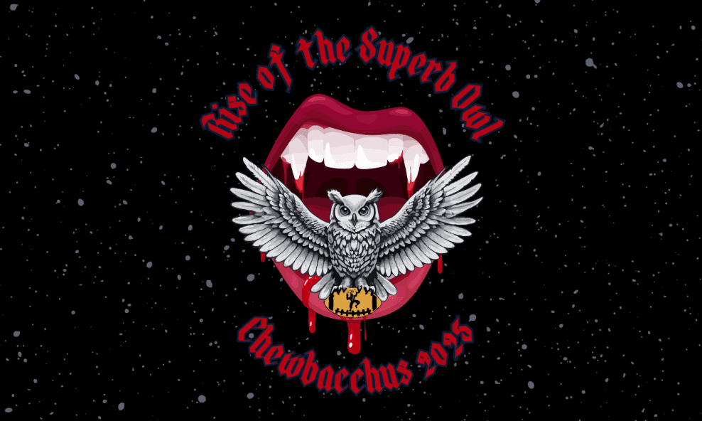 2025 Rise of the Superb Owl Flag